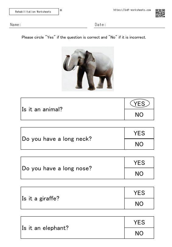 A task in which answer questions about a picture with a yes or no answer